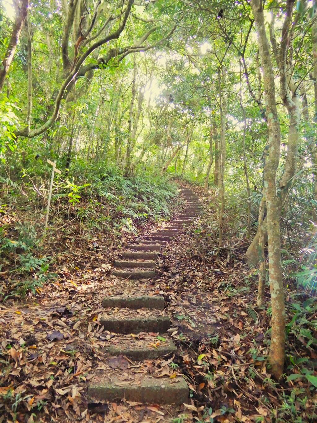 關聖段步道(照片來源:彭宏源老師)