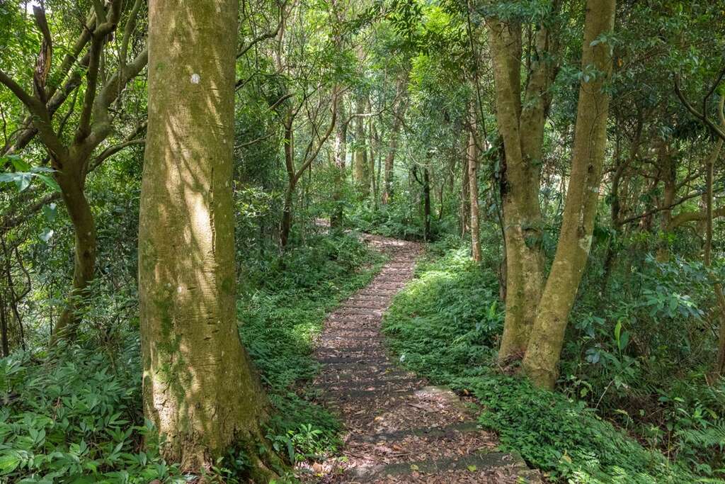 出關古道蜿蜒的步道
