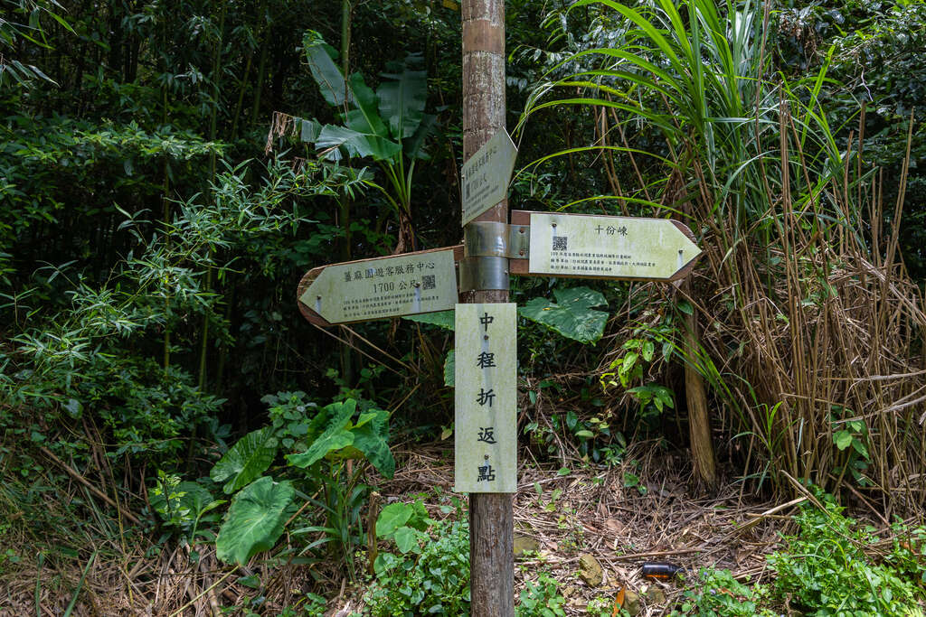 出關古道中程折返點